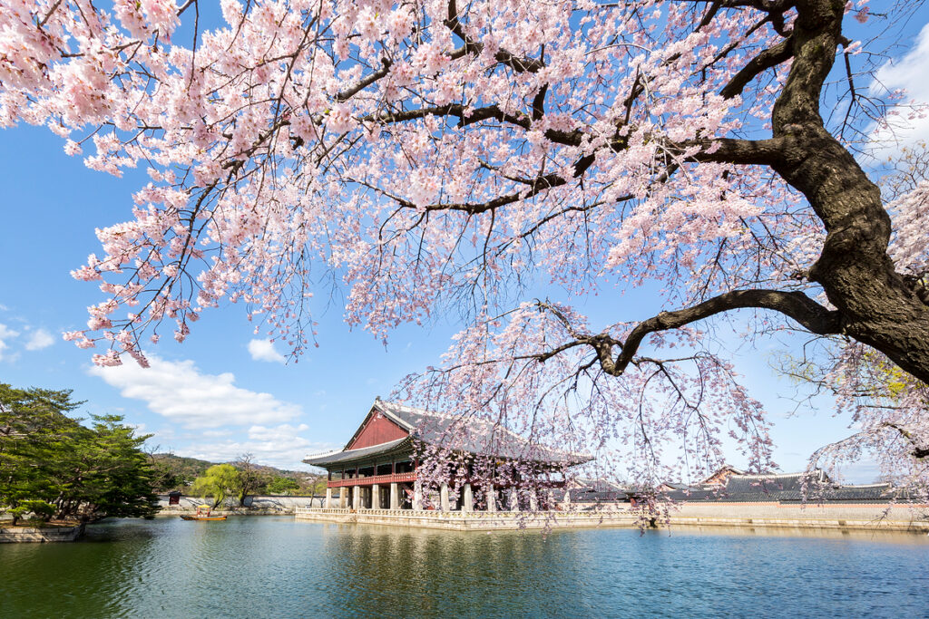 韓国5日間旅行おすすめ