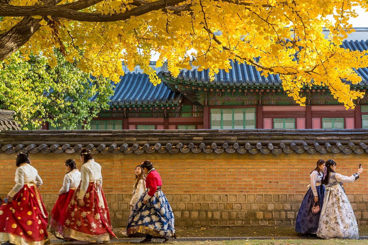 5 days in south korea