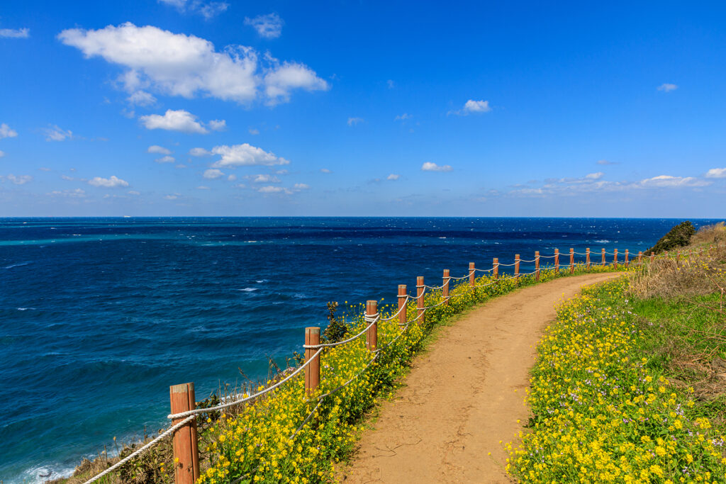 済州島3日間の旅程