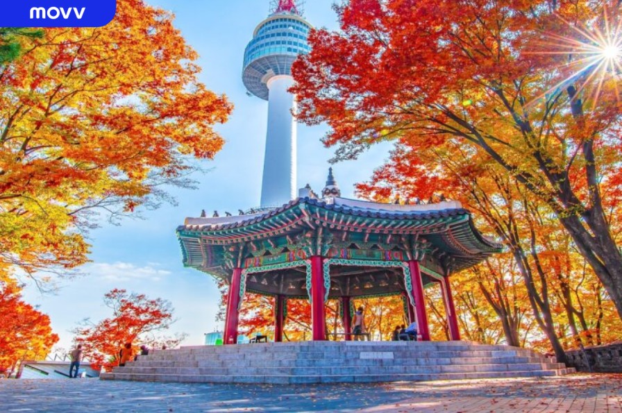 explore seoul