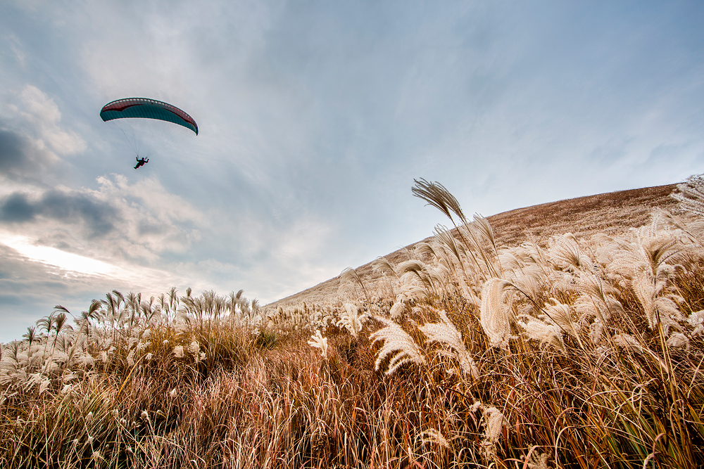 済州島(チェジュド)