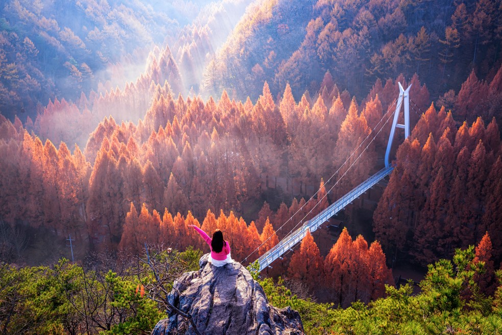 Jangtaesan Recreational Forest