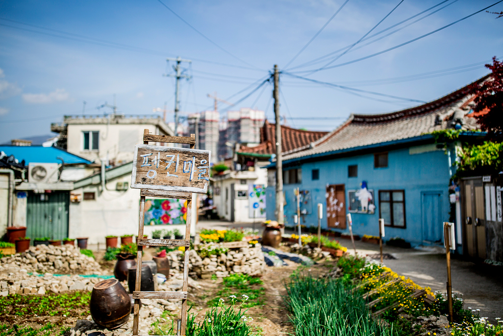 Gwangju Penguin Village